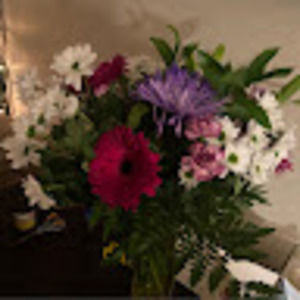 Meet your Posher, Janet